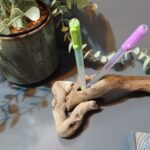 Porte stylo en bois flotté pour accueillir deux stylos