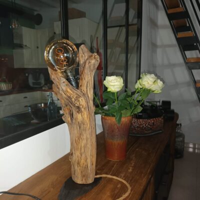 Bois flotté en hauteur qui donne l'impression de représenter un trophée réalisé par Kalos Wood. Une ampoule est positionnée en haut de la sculture naturelle.