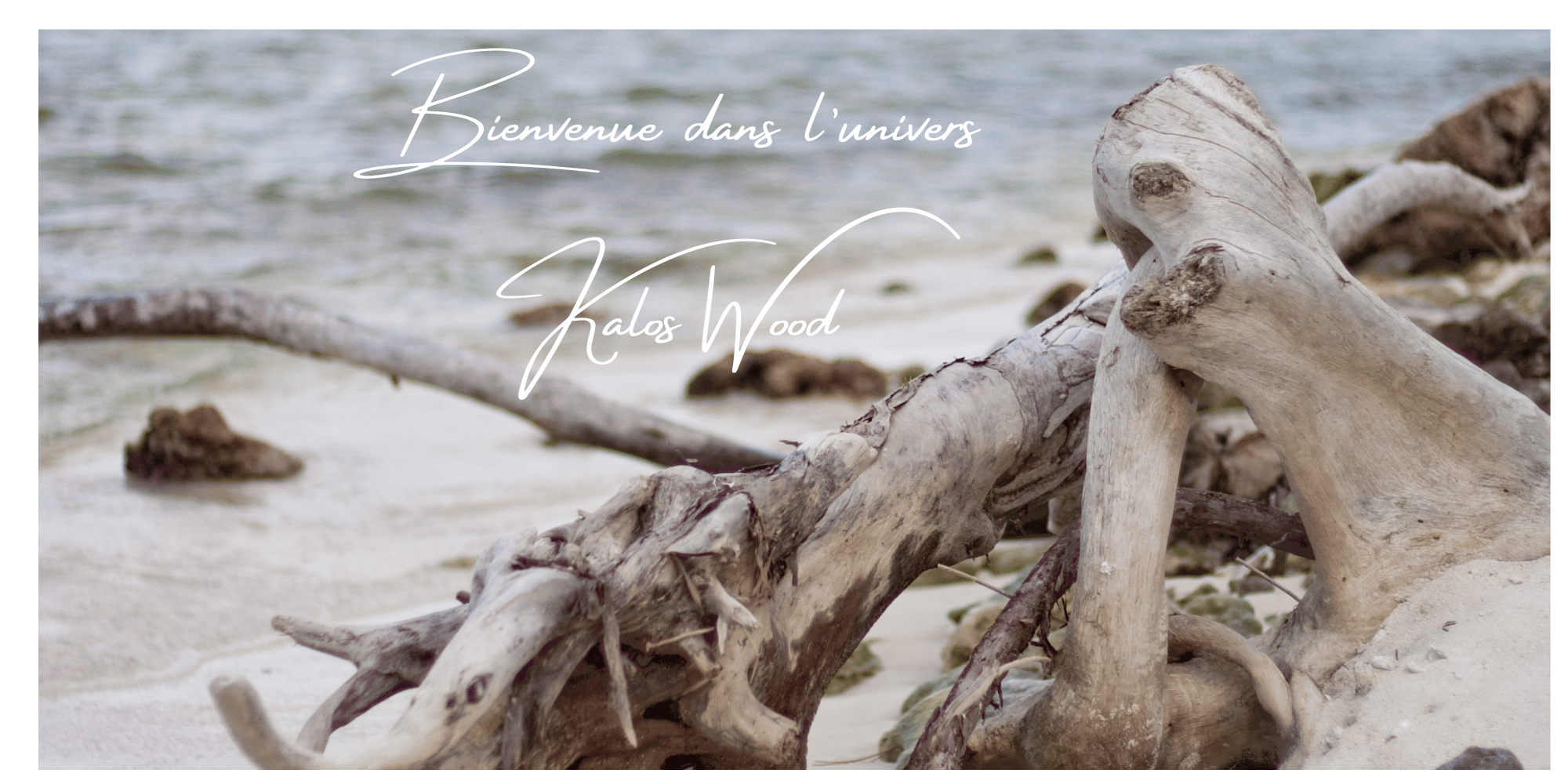 Bienvenue dans l’univers de Kalos Wood