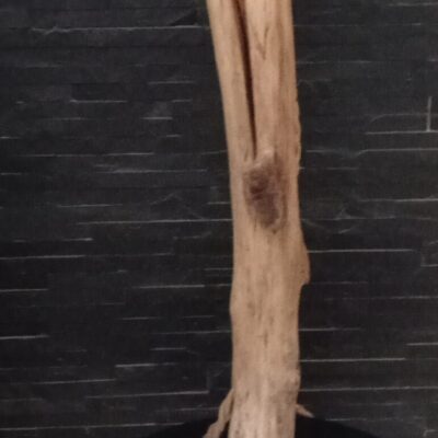 Lampe en bois flotté avec une forme de flambeau avec ampoule à l'interieur